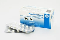 Prednisolona 20 Mg